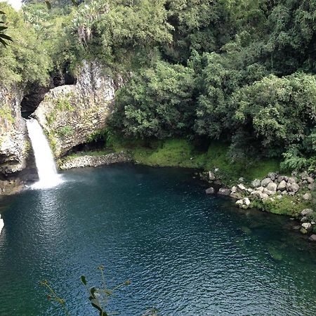 Le Beau Vallon 1- Jacuzzi Privatif Et Piscine Chauffee Partagee Saint-Benoît Esterno foto