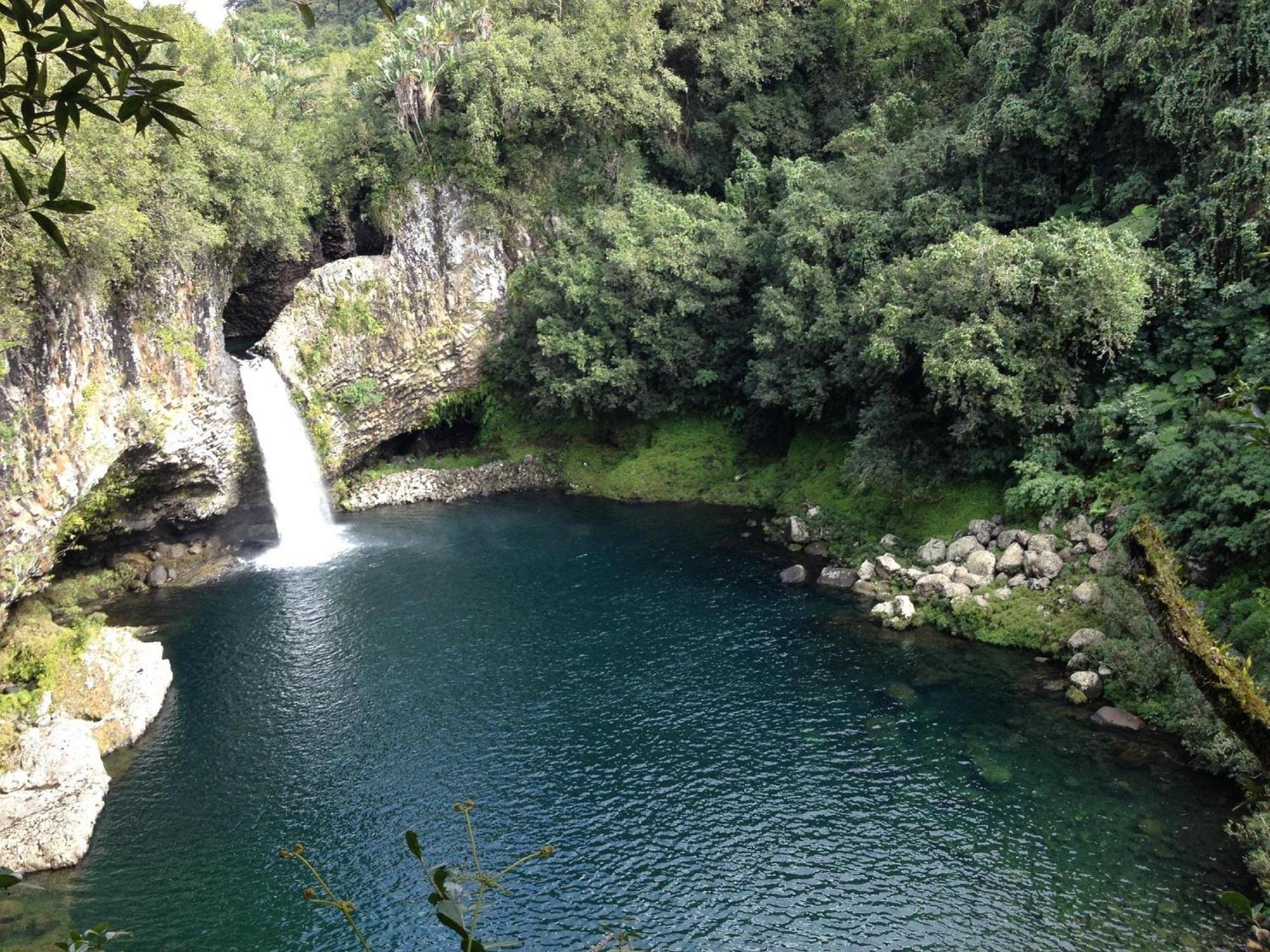 Le Beau Vallon 1- Jacuzzi Privatif Et Piscine Chauffee Partagee Saint-Benoît Esterno foto